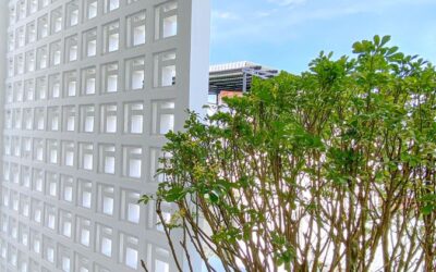 Sản Xuất Gạch Theo Yêu Cầu – Giải Pháp Tạo Nên Dấu Ấn Riêng Cho Mọi Công Trình