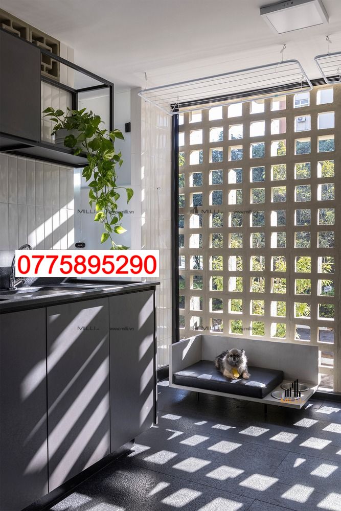 GẠCH BÔNG GIÓ VUÔNG TRẮNG LÀM VÁCH NGĂN TƯỜNG GIÁ RẺ HCM MILLI