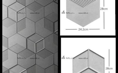 GẠCH 3D XI MĂNG TRANG TRÍ NỘI THẤT: ƯU ĐIỂM, MẪU ĐẸP VÀ CÁCH ỨNG DỤNG