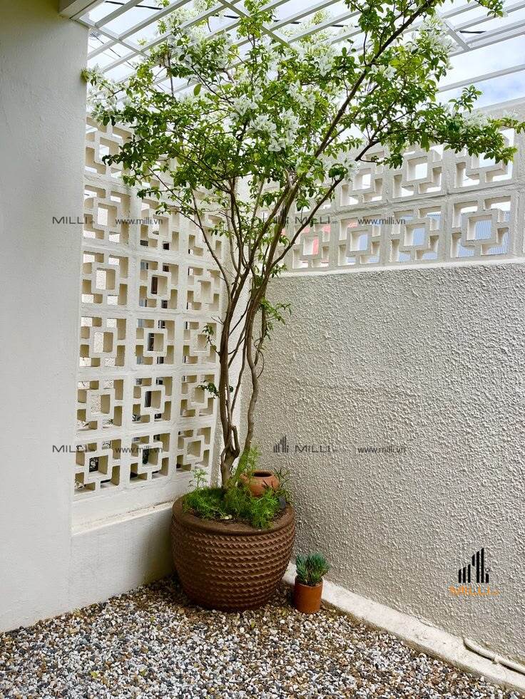 Gạch bông gió ô vuông nhỏ xi măng màu trắng tường rào - Milli HCM 20cm x 20cm giá rẻ mẫu mới