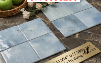 GẠCH GỐM CERAMIC ỐP TƯỜNG TRANG TRÍ ĐẸP VÀ BỀN BỈ CHO MỌI KHÔNG GIAN