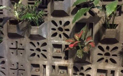 “Gạch chặn mưa lớn” – Sự phổ biến của gạch bông gió